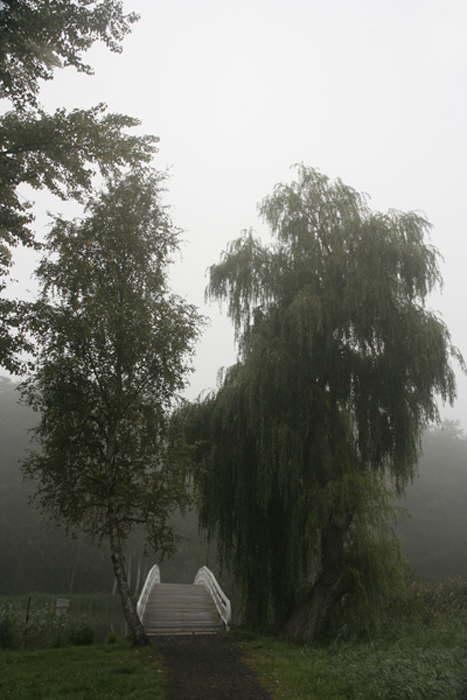 Burgseebr�cke