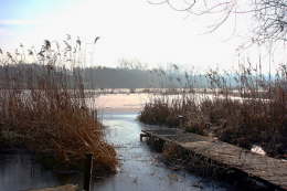 Der Steg