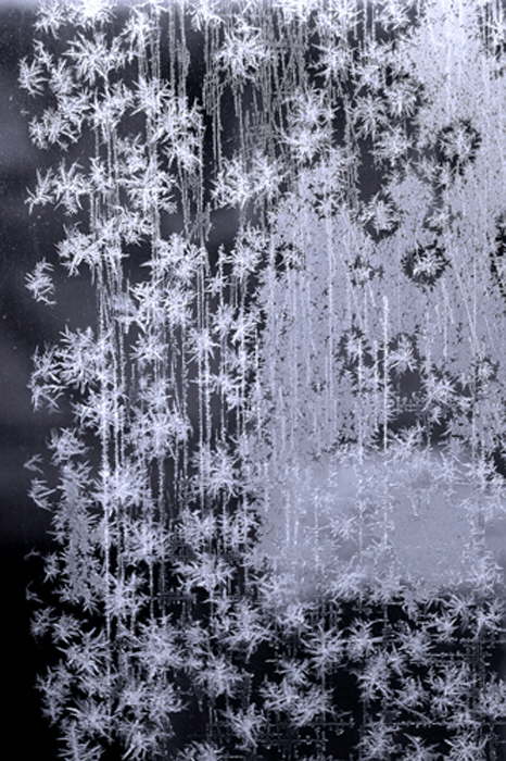 Eisblumen 3