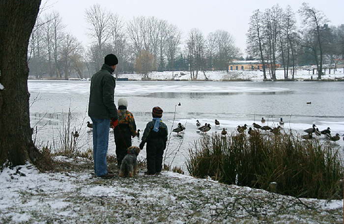Enten f�ttern 1