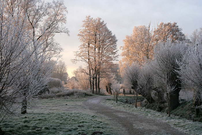 Frost