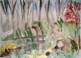Im Wald