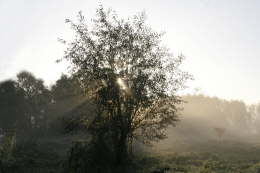 Lichtdurchflutet