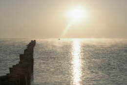 Morgennebel