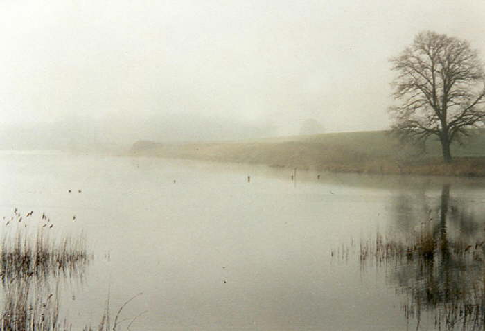 Nebel �berm See