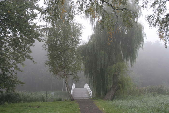 Seebr�cke im Nebel