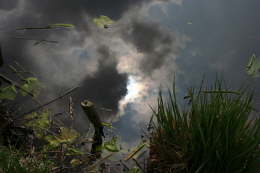 Sonne im See