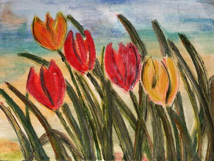 Tulpen