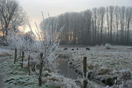 Wanderweg 5