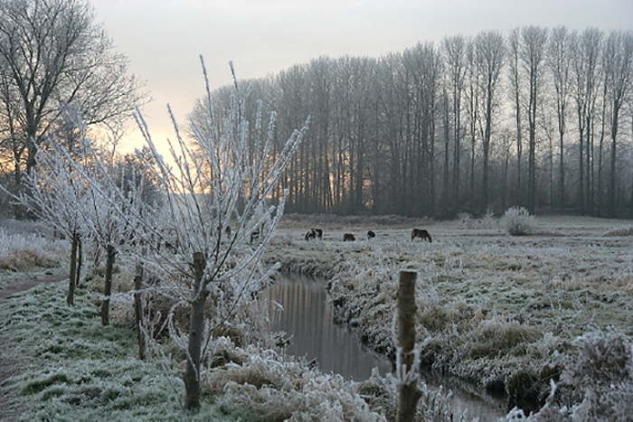 Wanderweg 5