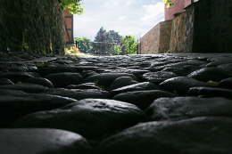 Weg zum Schlo�
