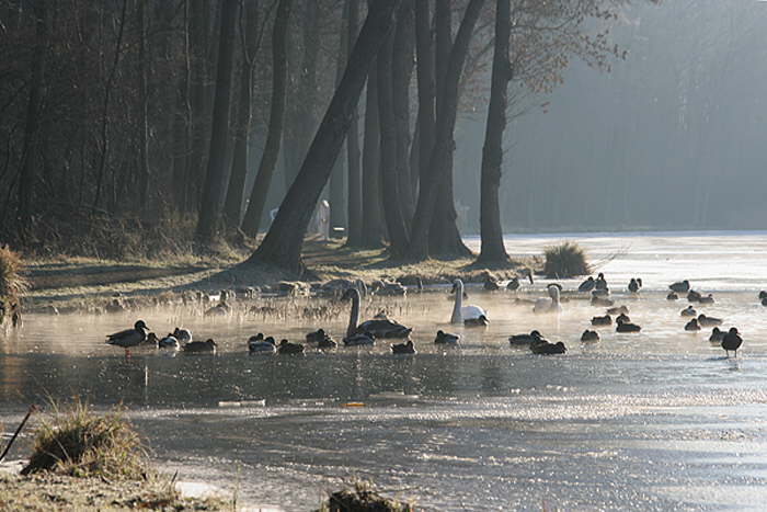 Winter am See
